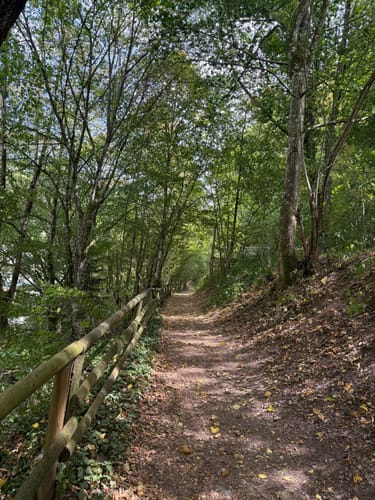HeimatSpur Erlebnisweg Ritter-Räuber-Römer (Bad Bertrich)
