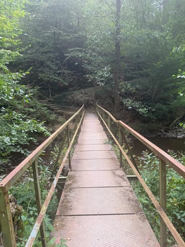 HeimatSpur Erlebnisweg Ritter-Räuber-Römer (Bad Bertrich)
