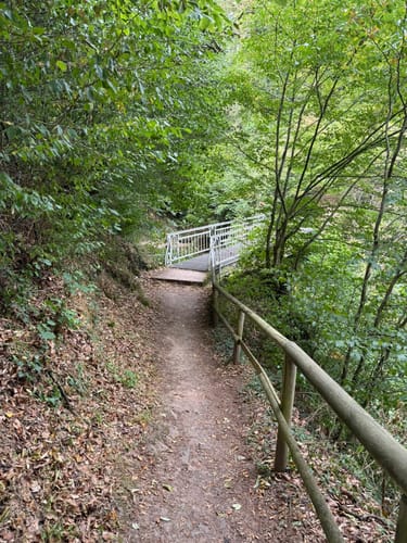HeimatSpur Erlebnisweg Ritter-Räuber-Römer (Bad Bertrich)