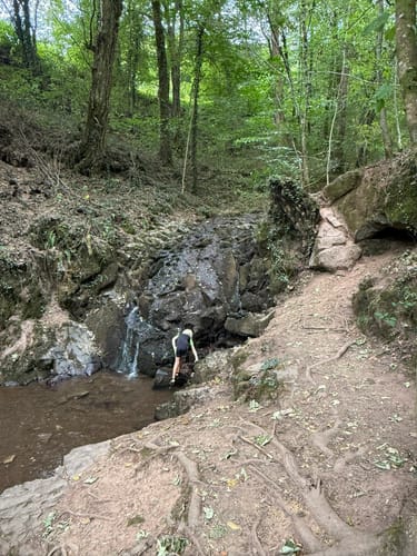 HeimatSpur Erlebnisweg Ritter-Räuber-Römer (Bad Bertrich)
