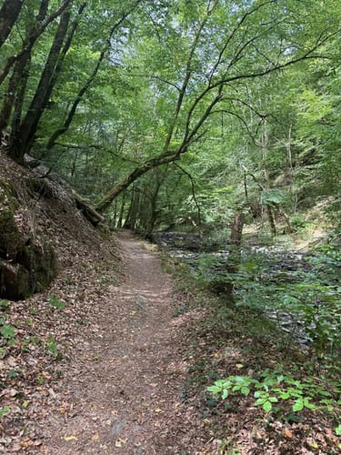 HeimatSpur Erlebnisweg Ritter-Räuber-Römer (Bad Bertrich)