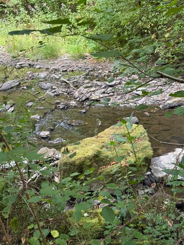 HeimatSpur Erlebnisweg Ritter-Räuber-Römer (Bad Bertrich)