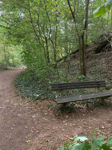 HeimatSpur Erlebnisweg Ritter-Räuber-Römer (Bad Bertrich)