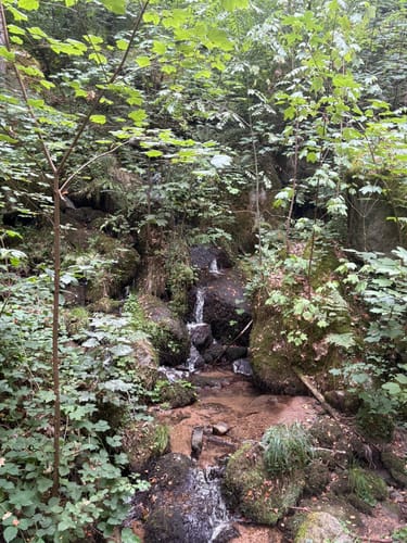 Schnapsbrunnenweg 1