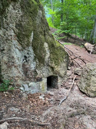 Rundwanderweg Dossenheim 3