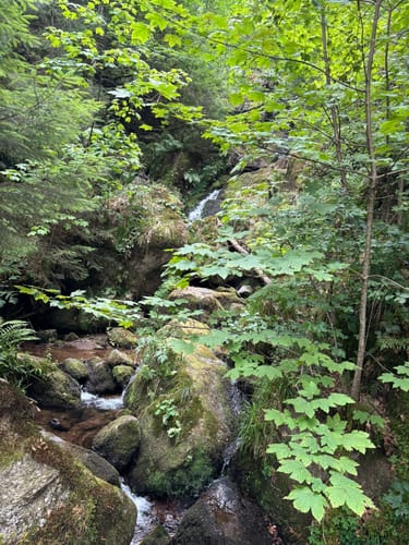 Gertelbach Wasserfälle Rundweg