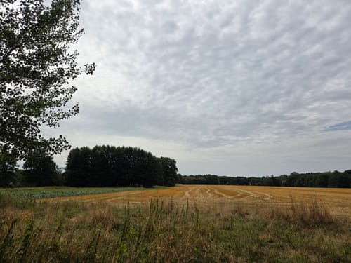 Hilden Rundweg