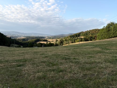 Schnorrenbacher-Weg (Wanderweg 6)