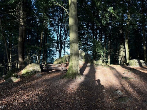 Schnorrenbacher-Weg (Wanderweg 6)