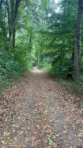Rund um das Steinbachtal
