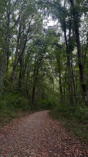 Rund um das Steinbachtal