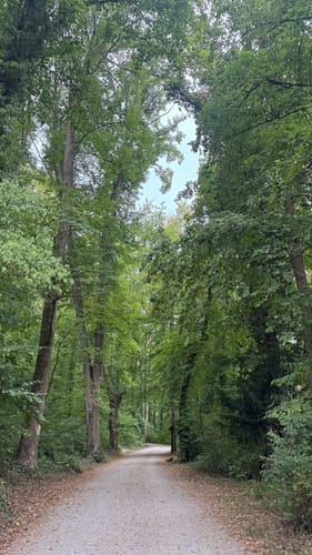 Rund um das Steinbachtal