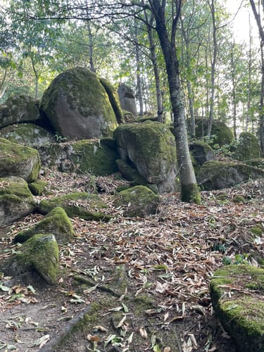 Durbacher Weitblick (Premiumwanderweg)
