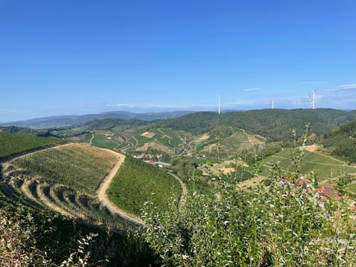 Durbacher Weitblick (Premiumwanderweg)
