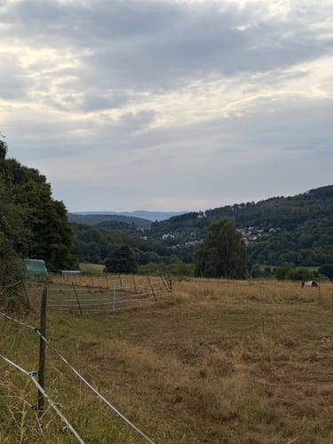 Helsa H8 - Helserbornweg