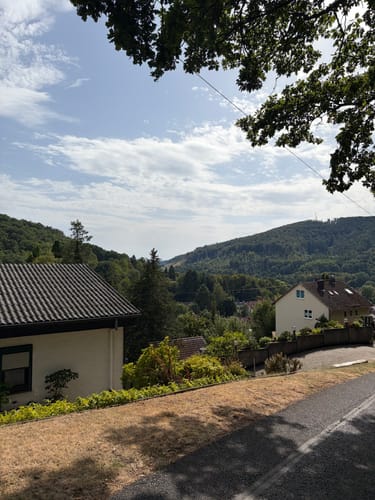 Helsa H8 - Helserbornweg