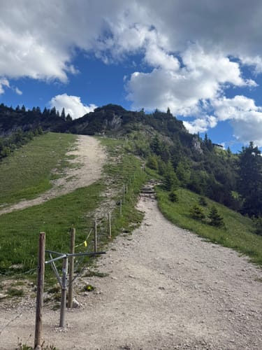 Tegelberg (Abstieg zur Talstation)