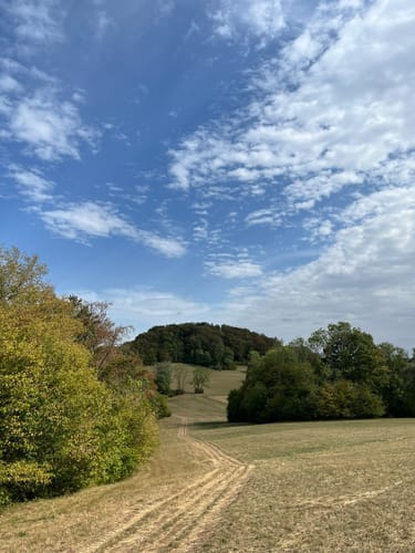 HOCHGEHBERGE I "hochgehträumt" (Premiumwanderweg)