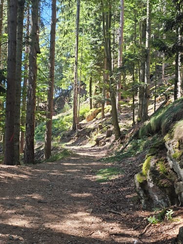 Silberberg Rundweg