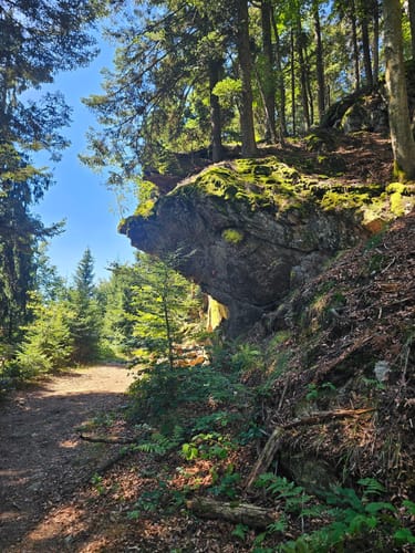 Silberberg Rundweg