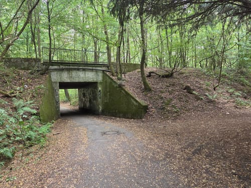 Duisburger Stadtwald Rundweg
