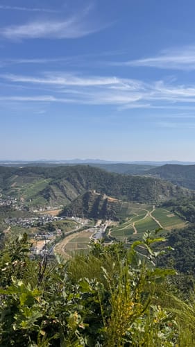 Ahrtalalpin: Von Altenahr über Mayschoss und das Teufelsley