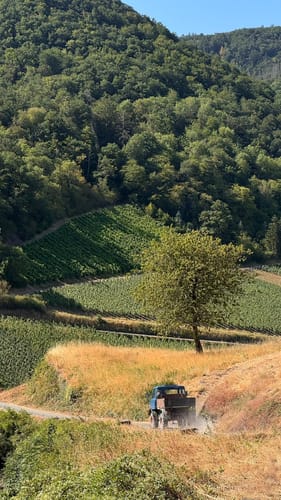 Ahrtalalpin: Von Altenahr über Mayschoss und das Teufelsley