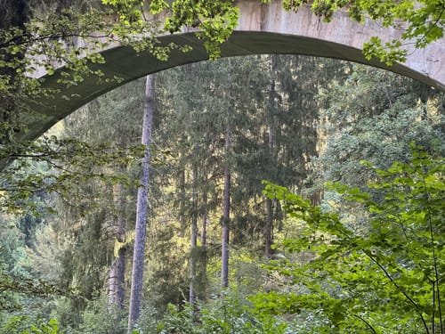 Donauversinkung (Premiumwanderweg)