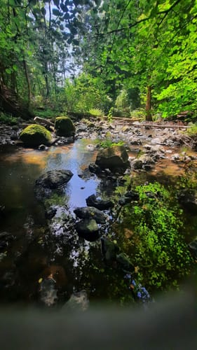 Durch die Strohner Schweiz
