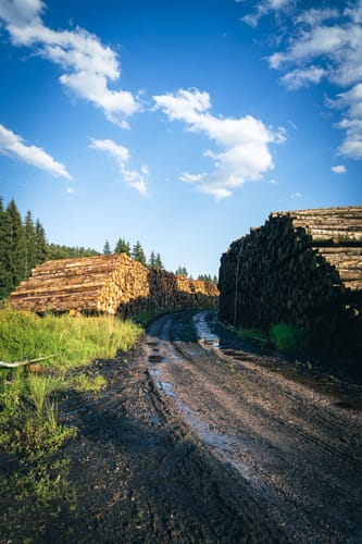 Wutenbachschlucht und Rotenbachschlucht Runde aus Holzschlag