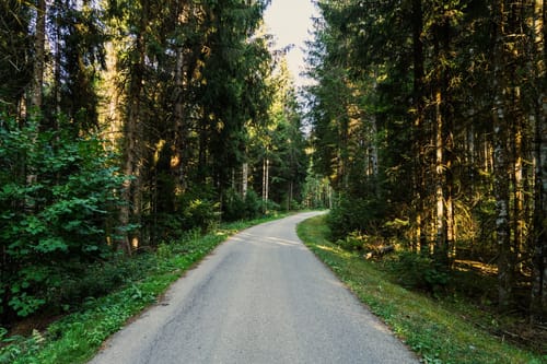 Wutenbachschlucht und Rotenbachschlucht Runde aus Holzschlag