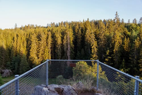 Wutenbachschlucht und Rotenbachschlucht Runde aus Holzschlag