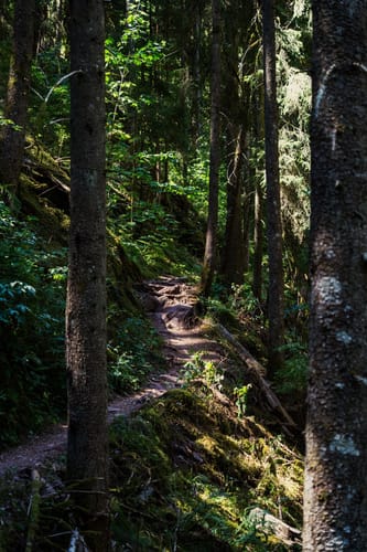 Wutenbachschlucht und Rotenbachschlucht Runde aus Holzschlag