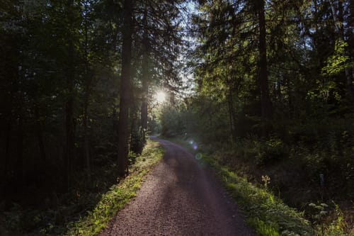 Wutenbachschlucht und Rotenbachschlucht Runde aus Holzschlag
