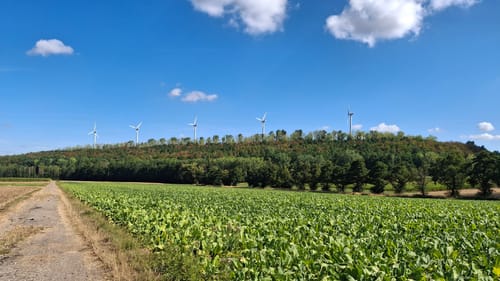 Eschweiler Mühlenweg
