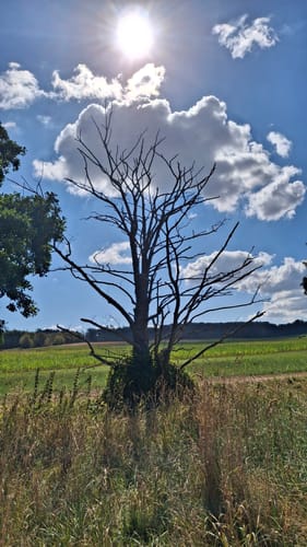 Eschweiler Mühlenweg