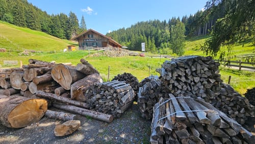 Burgberg - Grünten Rundwanderung