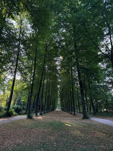 Münster: Schlossgarten, Münsterische Aa