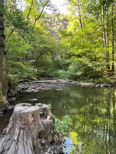 Müden - Burg Eltz Rundwanderung