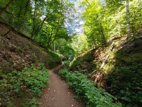 Schluchtentour bei Eisenach
