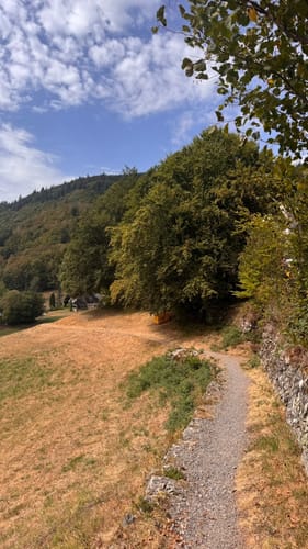 Wasserfallsteig Todtnau (Genießerpfad)