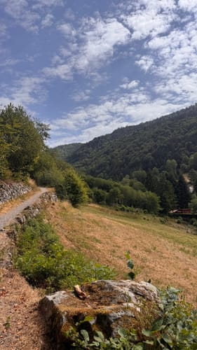 Wasserfallsteig Todtnau (Genießerpfad)