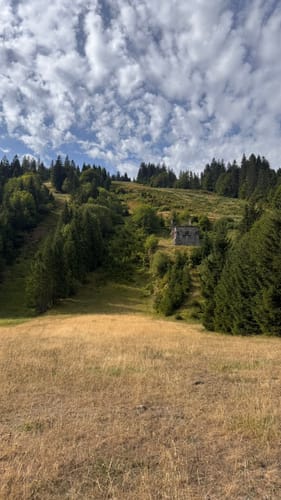 Wasserfallsteig Todtnau (Genießerpfad)