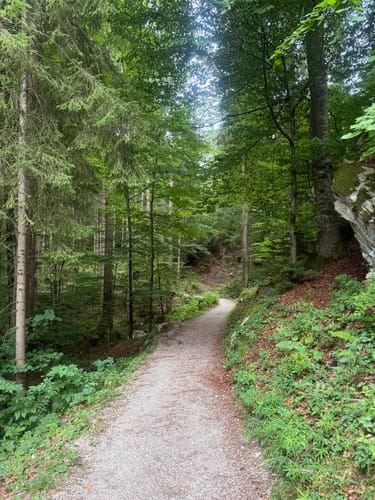 Wandern im ZugspitzLand - Grainau Badersee