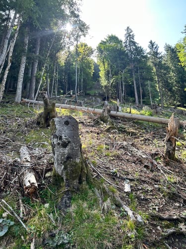 Von Steinach zur Osterlhütte