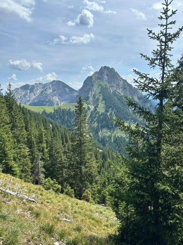 Von Steinach zur Osterlhütte