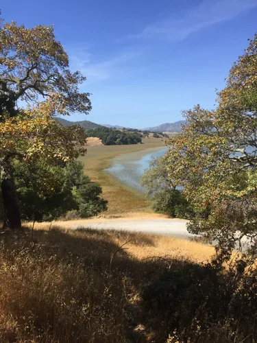 10 Best Hikes and Trails in China Camp State Park  AllTrails