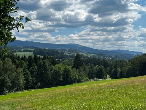 Rund um Arnbruck