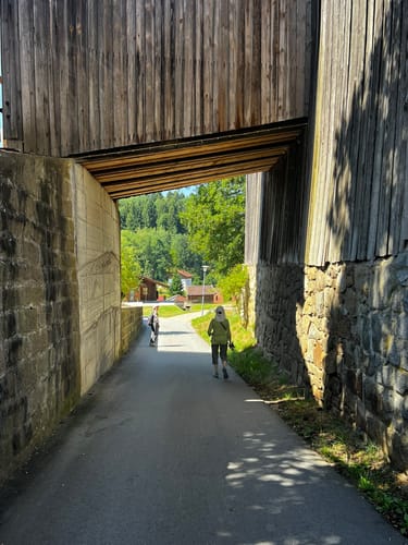 Rund um Arnbruck