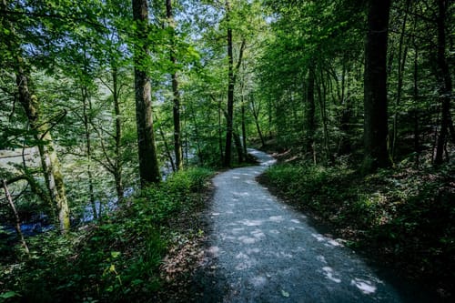 Bärensee Rundweg